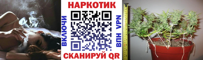 Виды наркотиков купить Новоржев Конопля МЕФ mega как войти Гашиш Cocaine