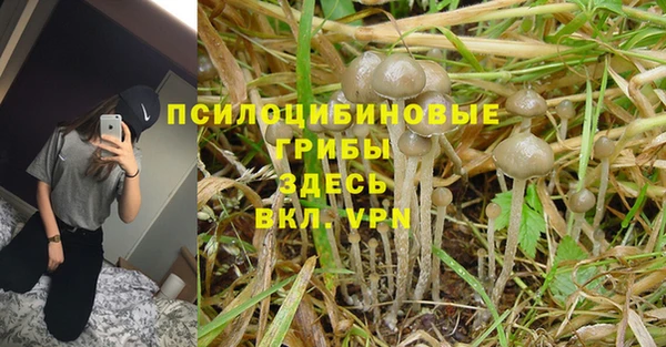 кокаин колумбия Верея