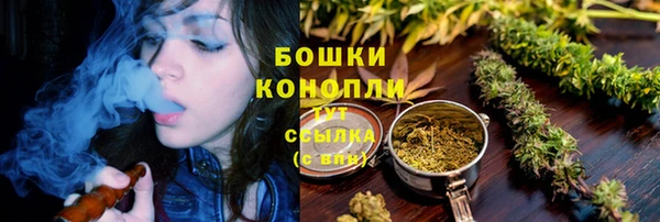 сатива Верхний Тагил
