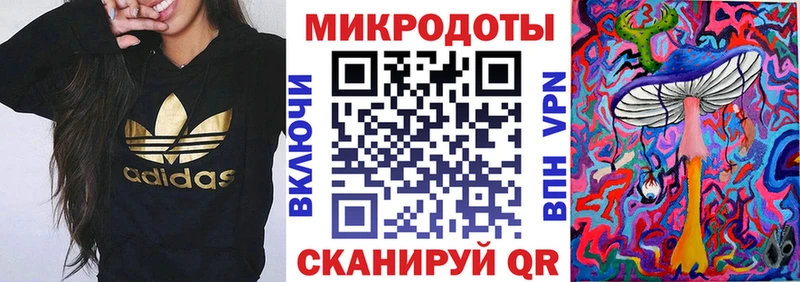 Псилоцибиновые грибы Psilocybe  даркнет сайт  mega tor  Новоржев 